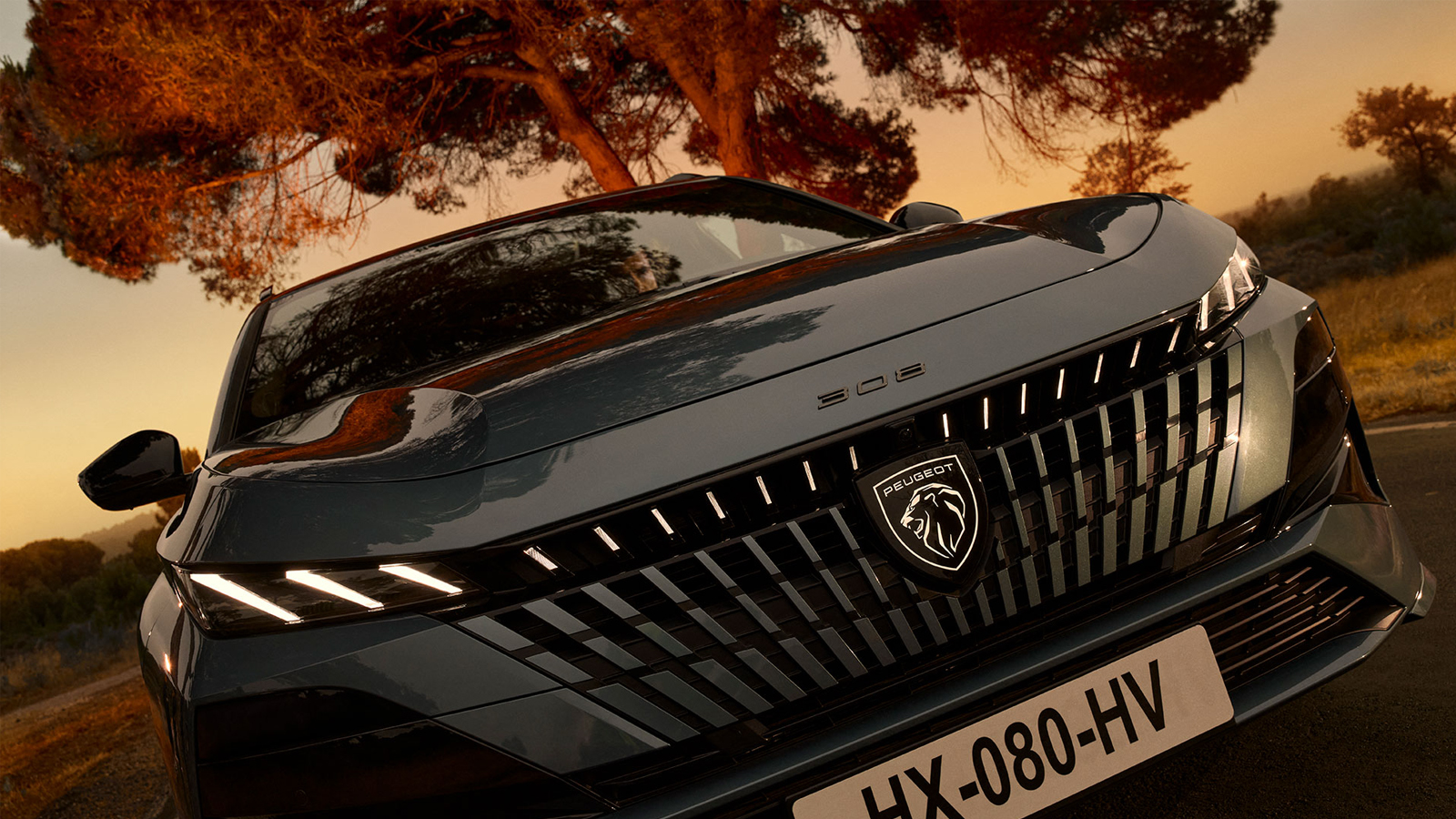 PEUGEOT 308 SW (neu)