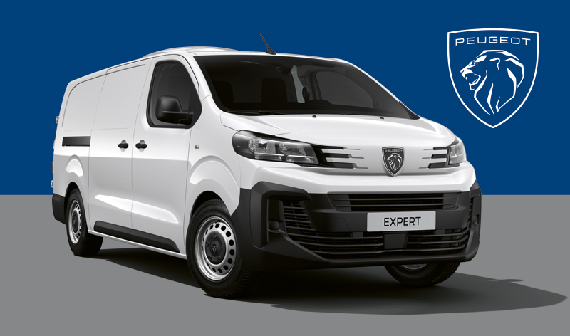 Peugeot Expert Kastenwagen