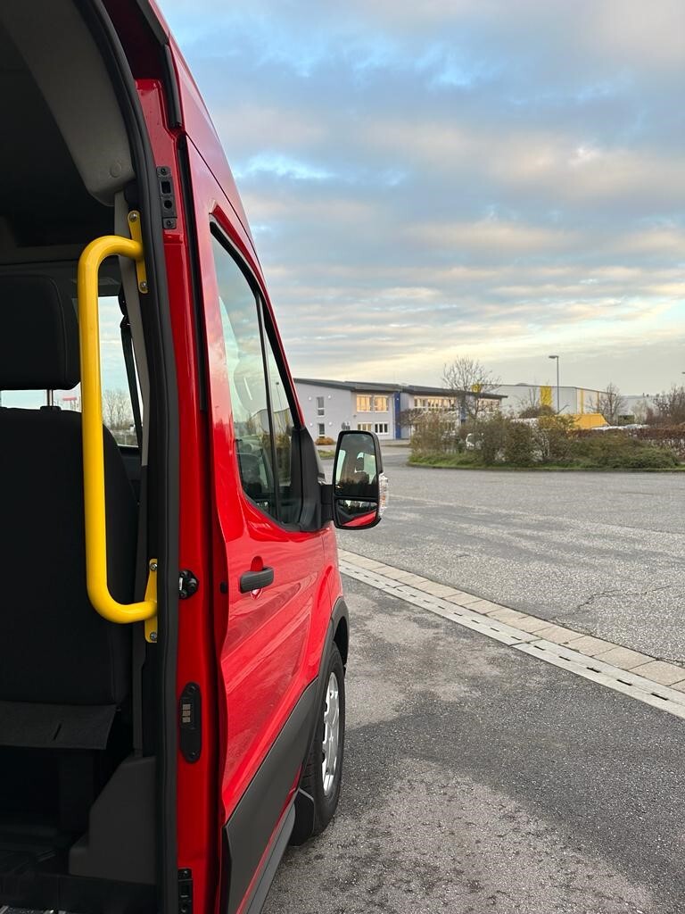 Haltegriff an B-Säule