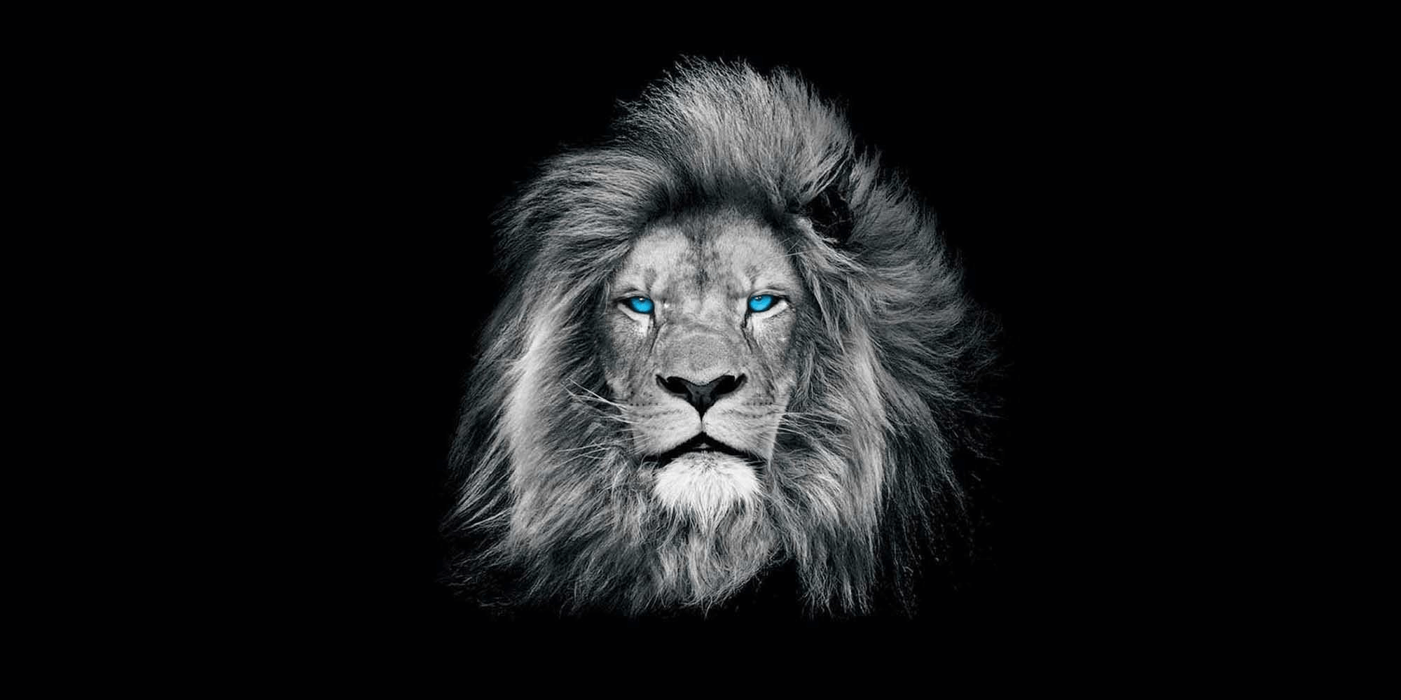 Ein Löwe und ein Peugeot Logo